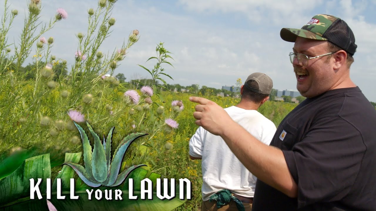 The Prairie That Lived | Kill Your Lawn | EarthX
