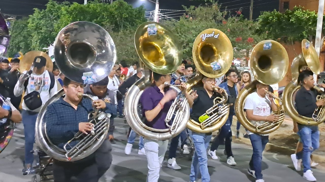 KRAKEN Y ELEFANTES ROSAS BANDA REYNA LA MERA MERA EN SAN ANTONIO DE LA CAL OAXACA 🥁🔥