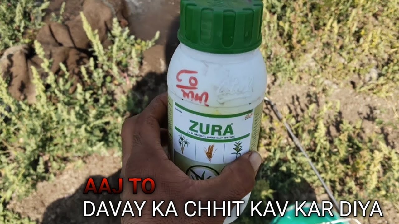 Fasal me Davay ka chhit kav kar na pada 😮‍💨