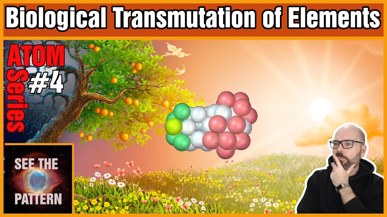 Biological Transmutation of Elements