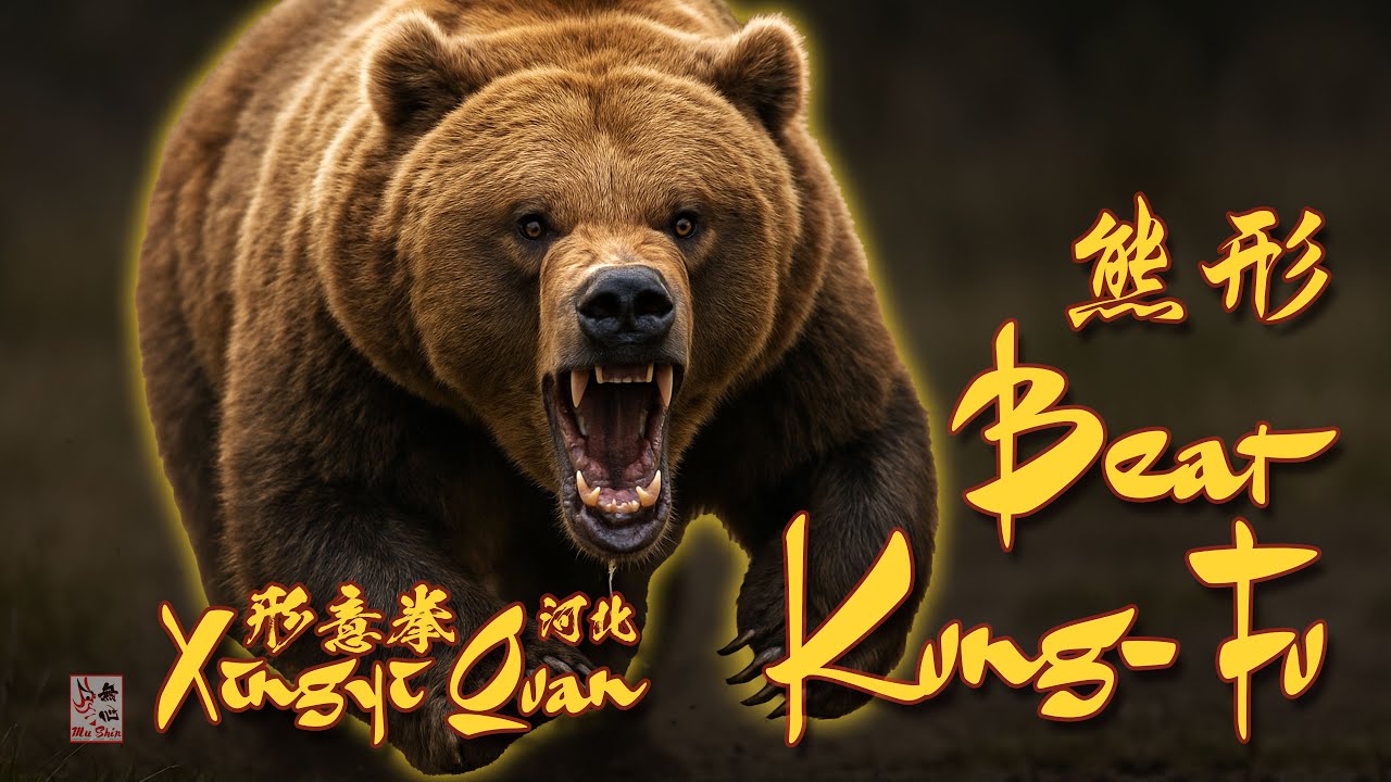 Bear Style Kung-Fu - Xingyi Quan Bear Shape - A Brief Glimpse 形意拳熊形 #fightingstyles #bearstyle