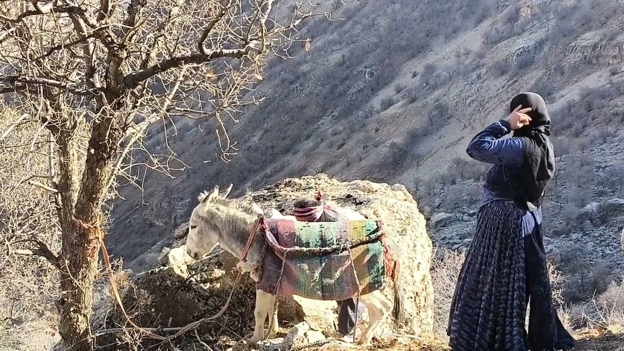 زندگی روستا 