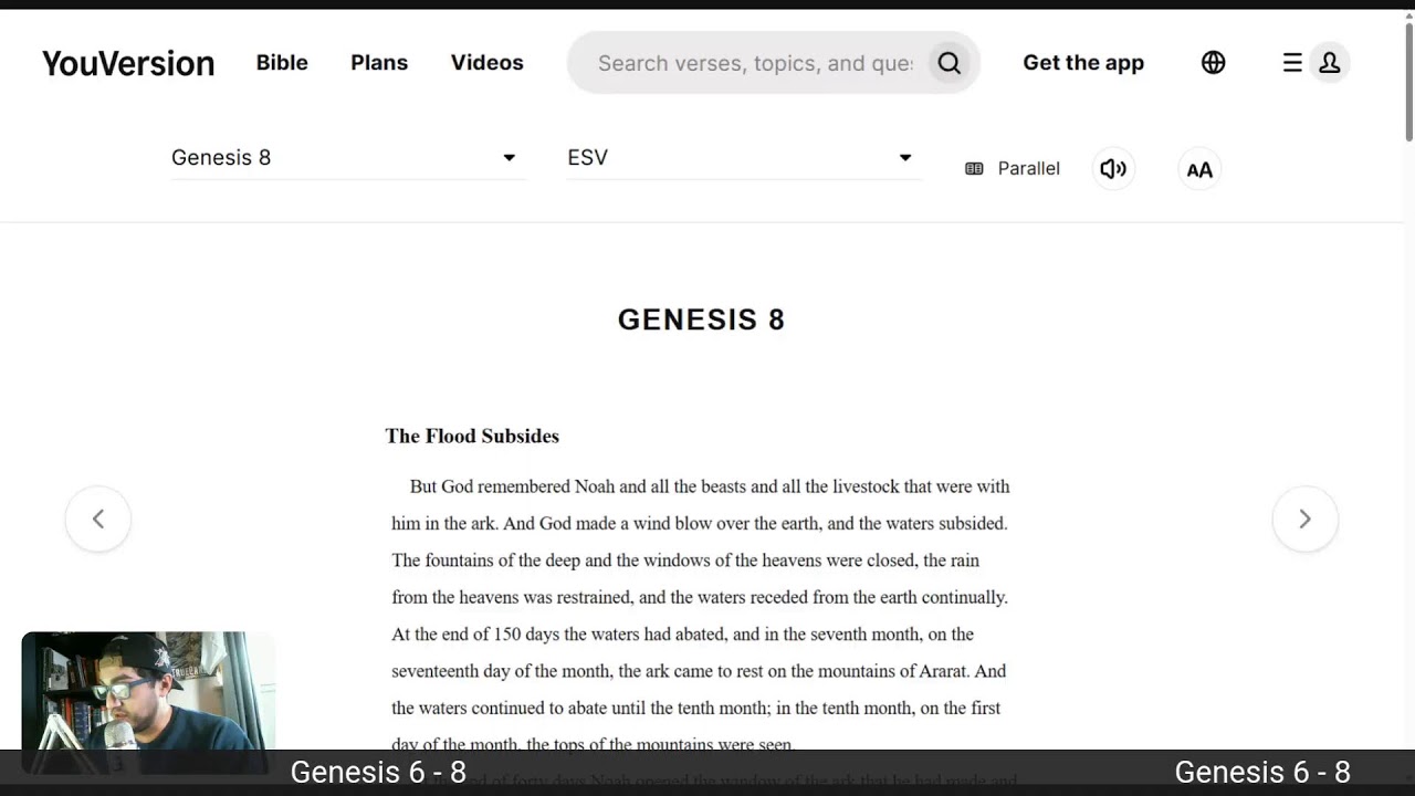 Genesis 6 - 8