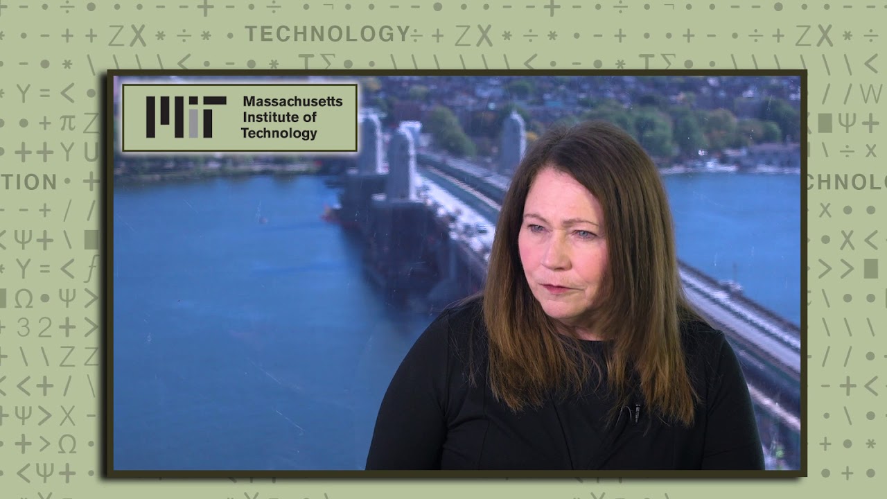 Sociotechnical Systems and the Future of Human-Model Interactions - Using Models - 2 of 6