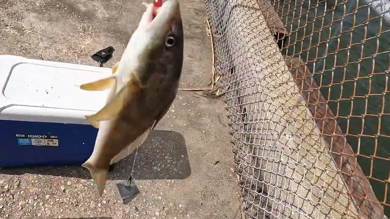 It's Time For Me To Come Out Of Hibernation And Fish!!!!