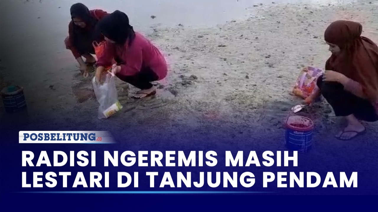 Tradisi Turun-Temurun, Ngeremis Tetap Jadi Bagian Hidup Warga Pesisir Belitung