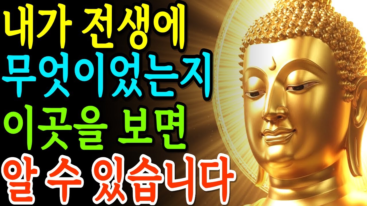 내가 전생에 어떤 동물이었는지, 어떤 사람이었는지 쉽게 알 수 있는 방법 | 부처님지혜 | 부처님말씀 | 석가모니명언 | 석가모니가르침 | 불교철학 |