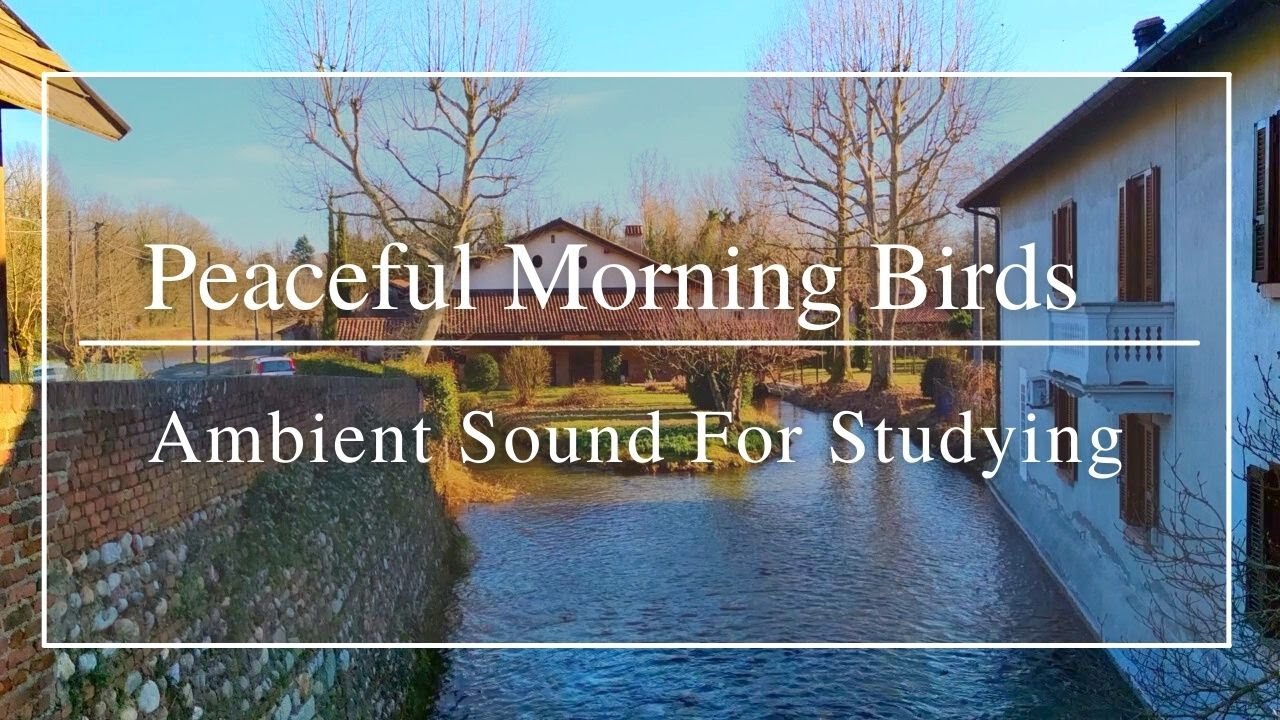 2 Hours | Ambient Sound | Peaceful Morning Birds | Study with me