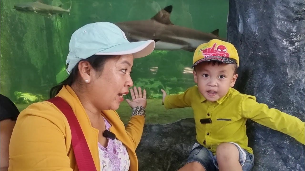 Chuột Đi Tham Quan Kho Bảo Tàng Hải Dương Học Thật Bất Ngờ Với Những Loại Cá Rất Đẹp #ngocdieuvlog