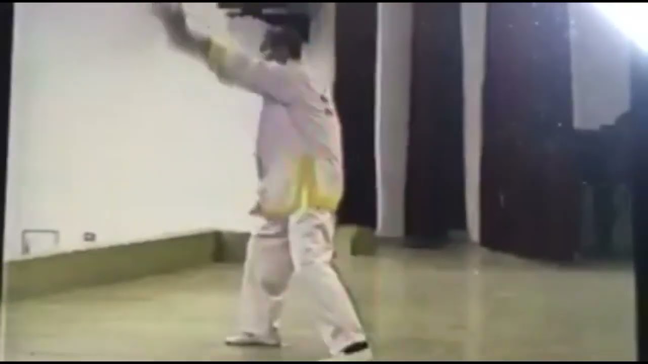 柔拳武術一代宗師 童金龍 鶴拳四門