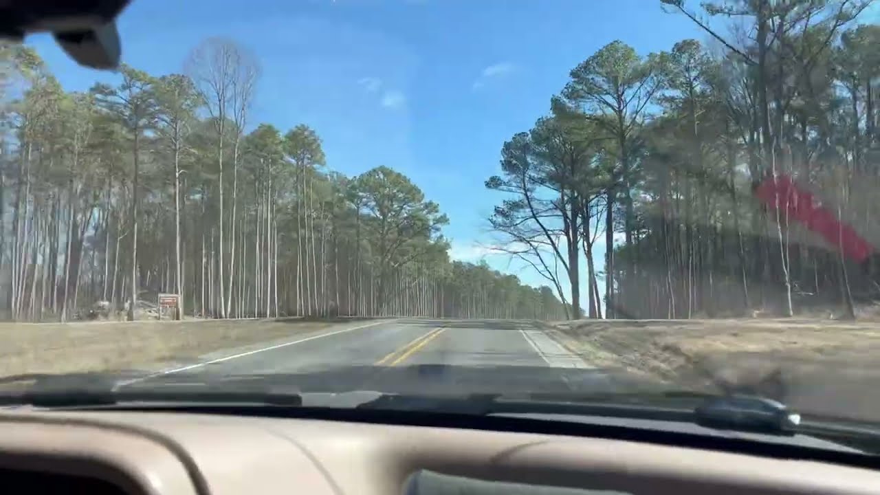 Explorer roamin the Shawnee Forest