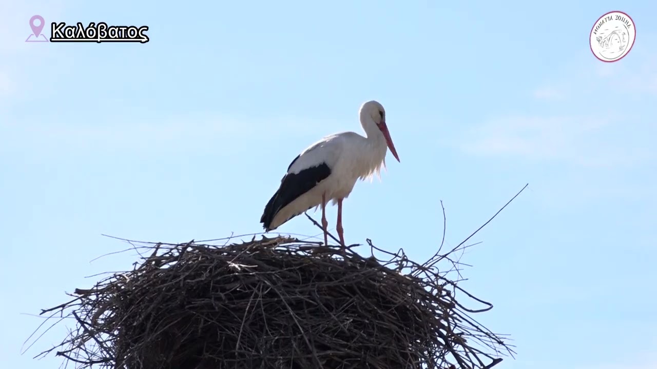 Καλόβατος Άρτας