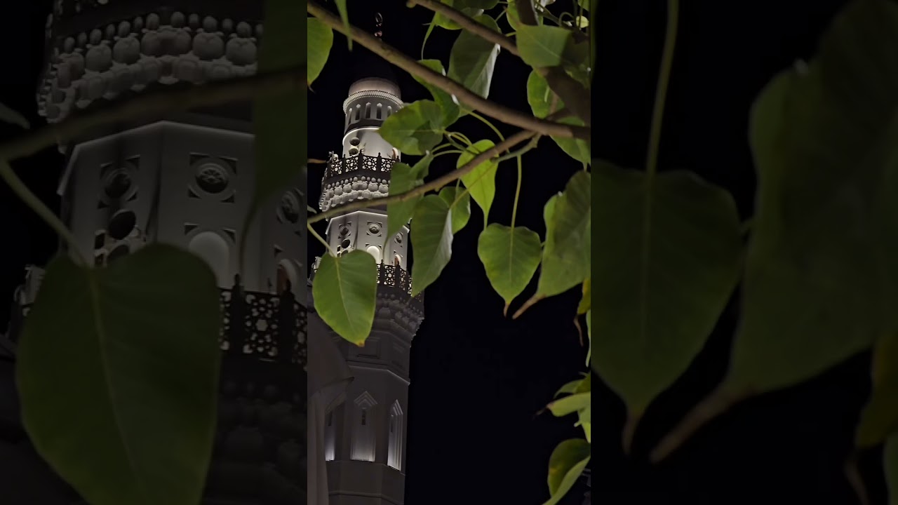 صلاة الفجر لــ الشيخ د. #عبدالرحمن_المغامسي || الإثنين 28 شعبان 1447هـ 