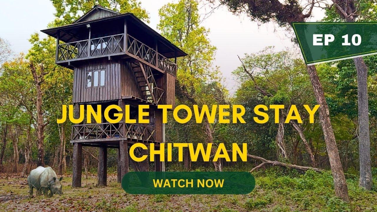 Unfiltered Stay in a Tiger Jungle Tower inside Chitwan National Park, Nepal | EP10 (Series Finale)