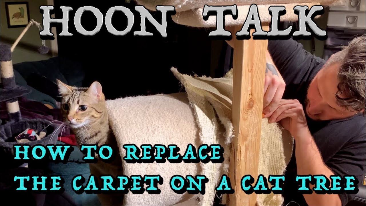 Hoon Talk: How to replace the carpet on a cat tree