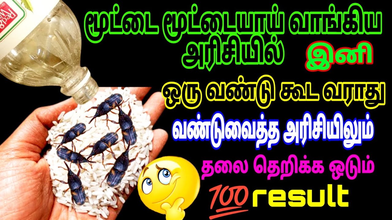 அரிசியில் வண்டு இருக்க ! பைசா செலவு இல்லாமல் ஒட ஒட விடலாம் /Cleaning tips @RSDhealthykitchen