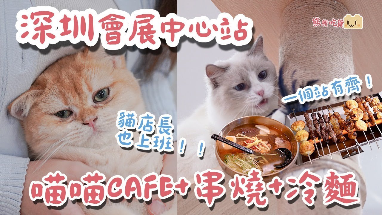 深圳¥58不限時摸貓貓Cafe🐱！超黏人貓店長任摸唔嬲🐱｜韓式自助串燒｜自助燒烤店｜深圳會展中心站｜卓越INTOWN購物中心｜牛肉串燒｜炭燒大頭蝦｜韓國冷麵