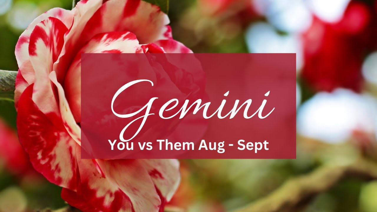 Gemini❤️I know I hurt u & let u down! Embarrassed of their behavior but they want to say u this..