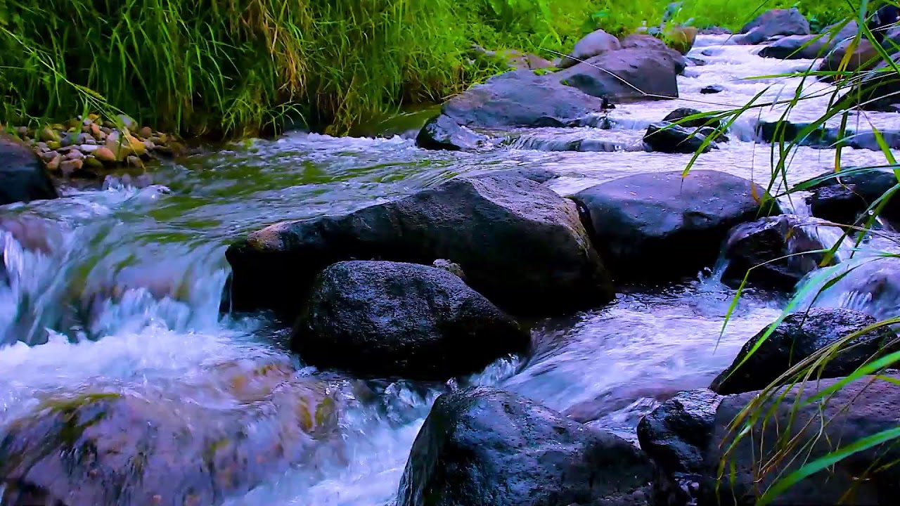 Sleep Instantly with Mountain River | Relaxing Forest Water Sounds