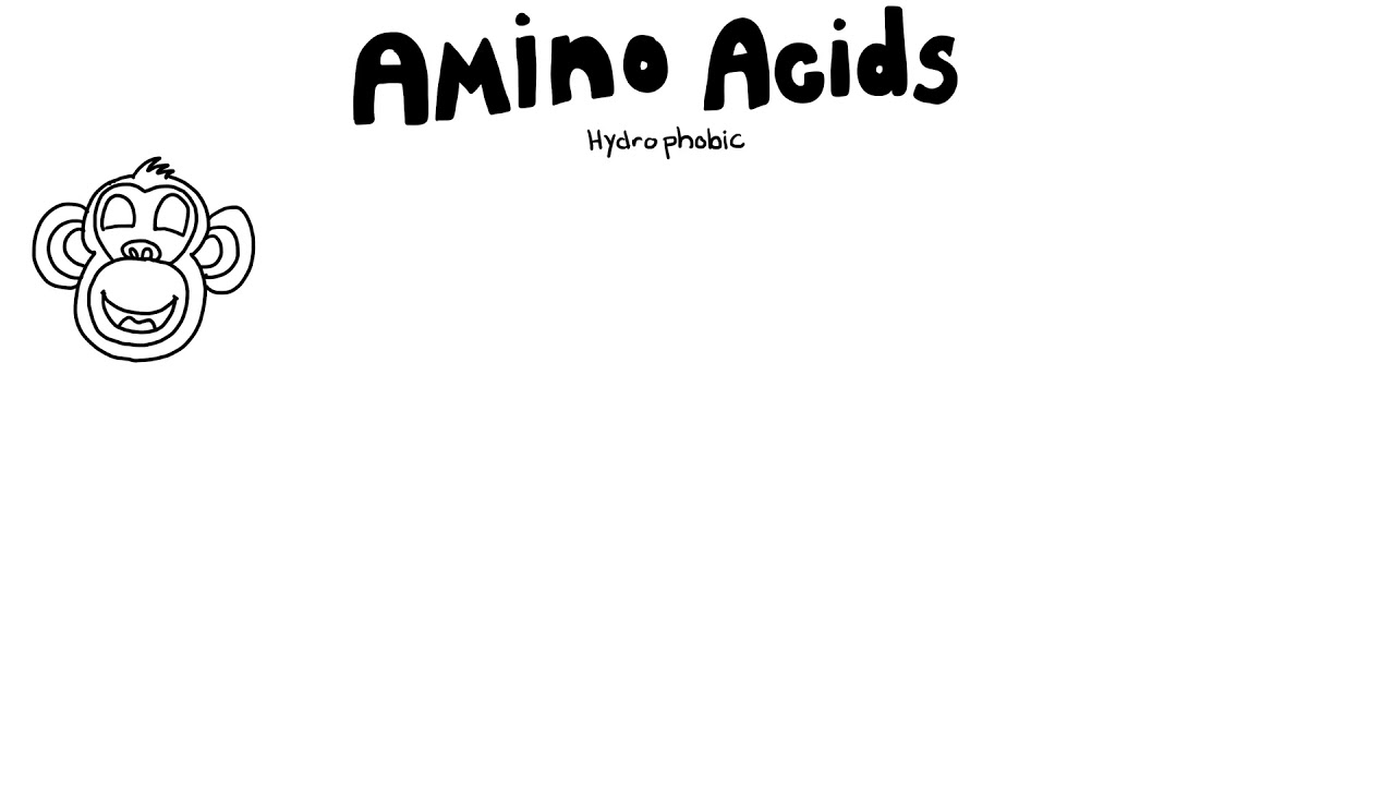 Hydrophobic Amino Acids