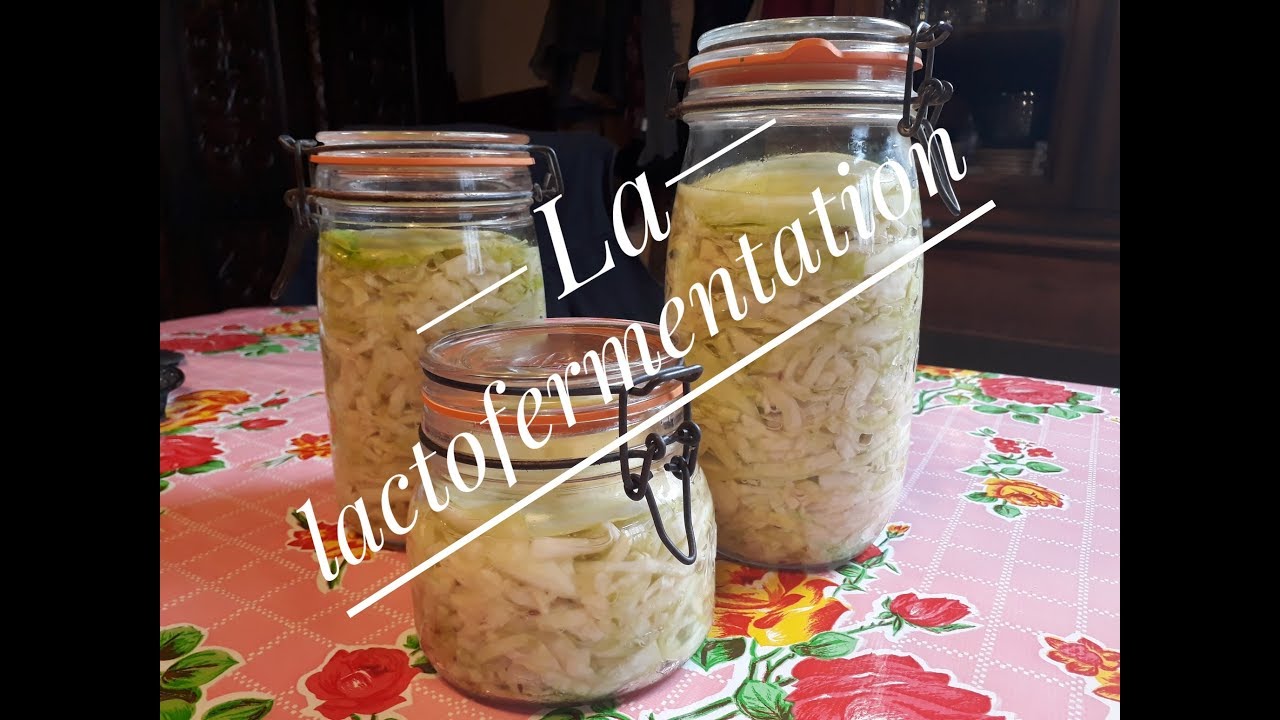 CONSERVE DE CHOU pour faire sa CHOUCROUTE MAISON