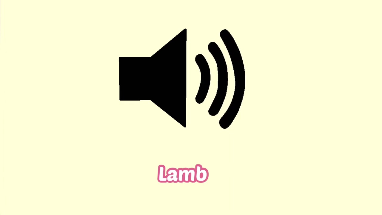 Lamb Sound Effect (Animal)