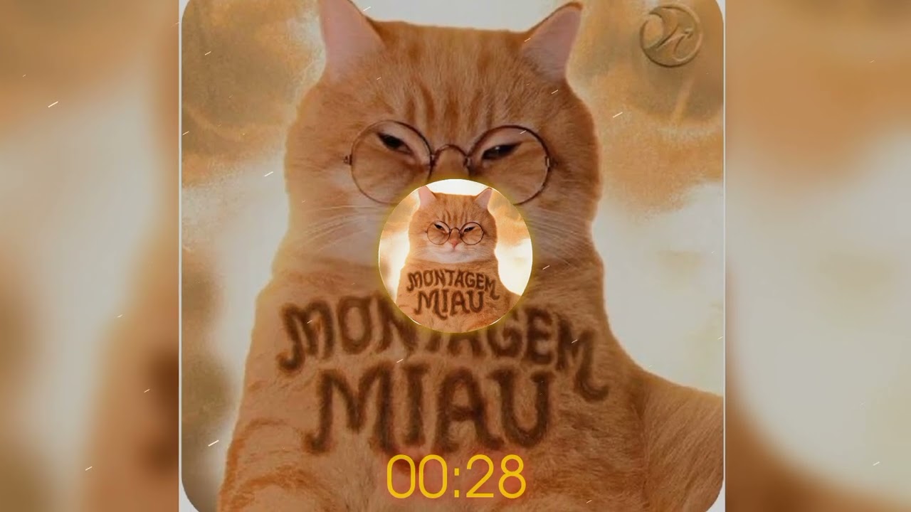 Montage  miau funk #phonk#funk#67millon views#plese subscribe more. 