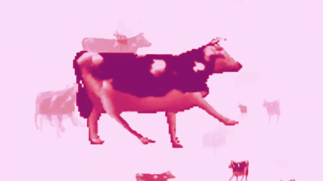 Doja Cat - Mooo! (slowed) 