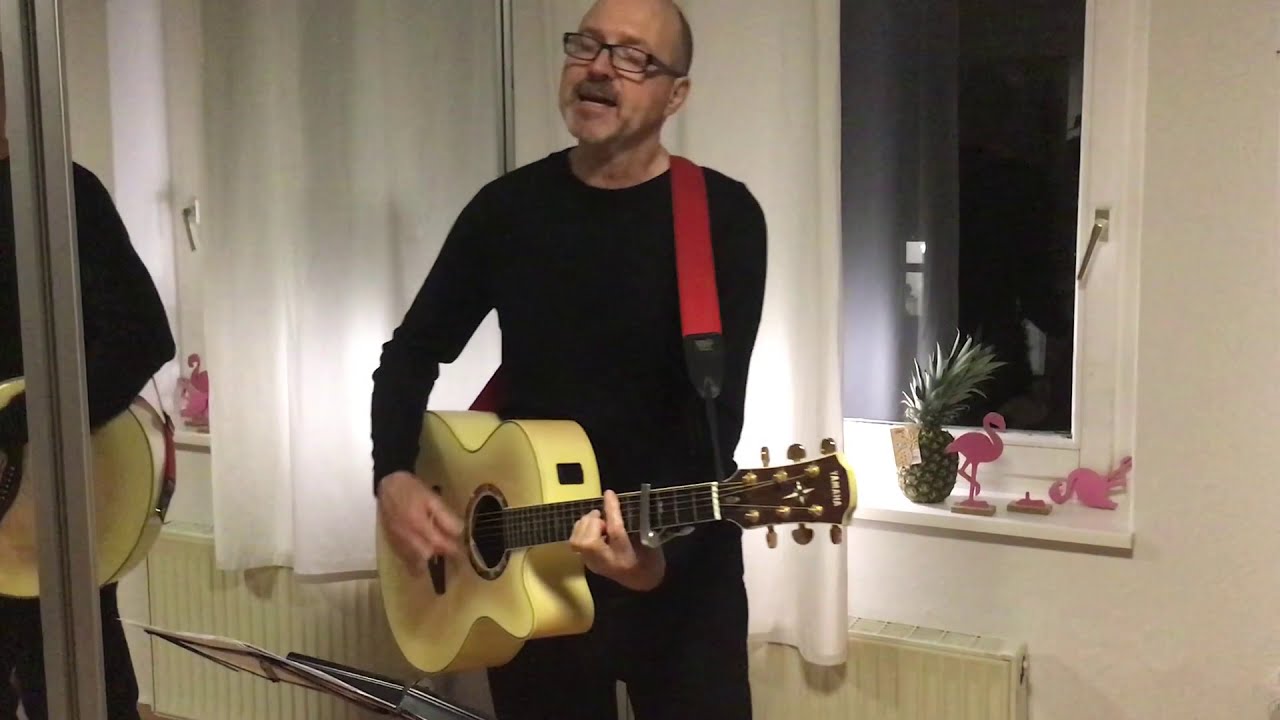 Funny van Dannen - Flamingos