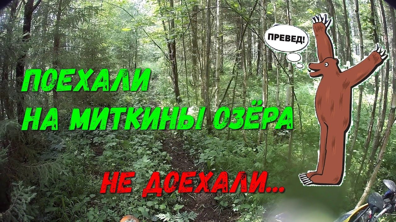 Поездка на Миткины озёра. Превед медвед!