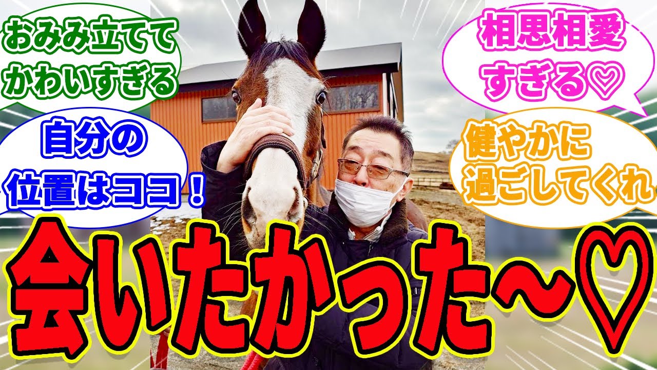【メロディーレーン】森田先生との再会で嬉しさが爆発！？に対するみんなの反応集【競馬の反応集】