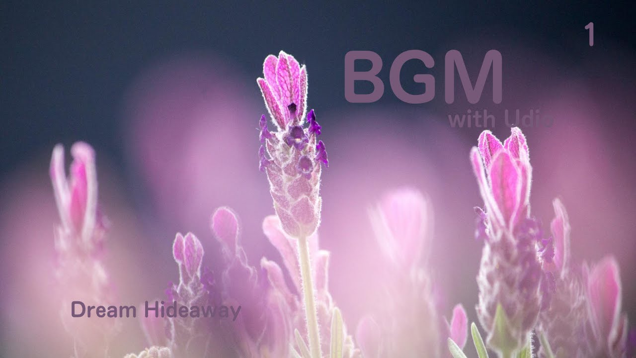 Dream Hideaway BGM No.1