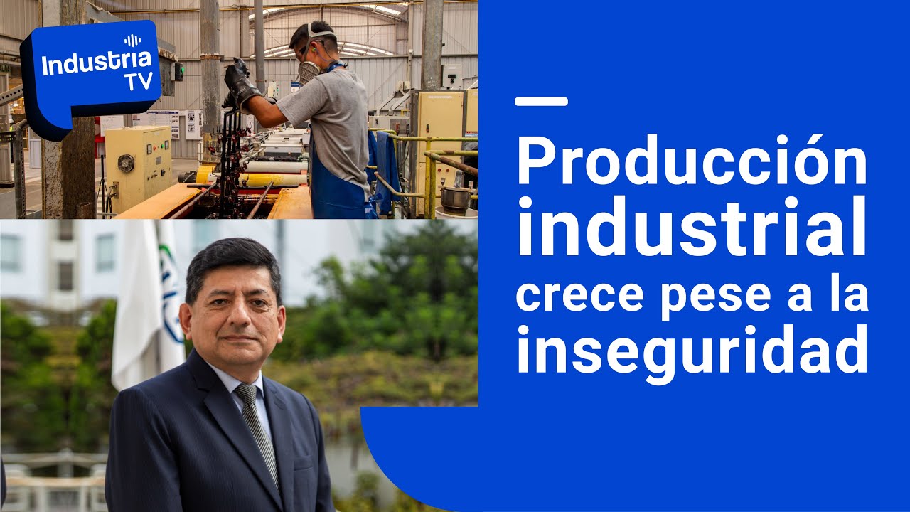 Industria TV:  Producci&oacute;n industrial crece pese a la inseguridad
