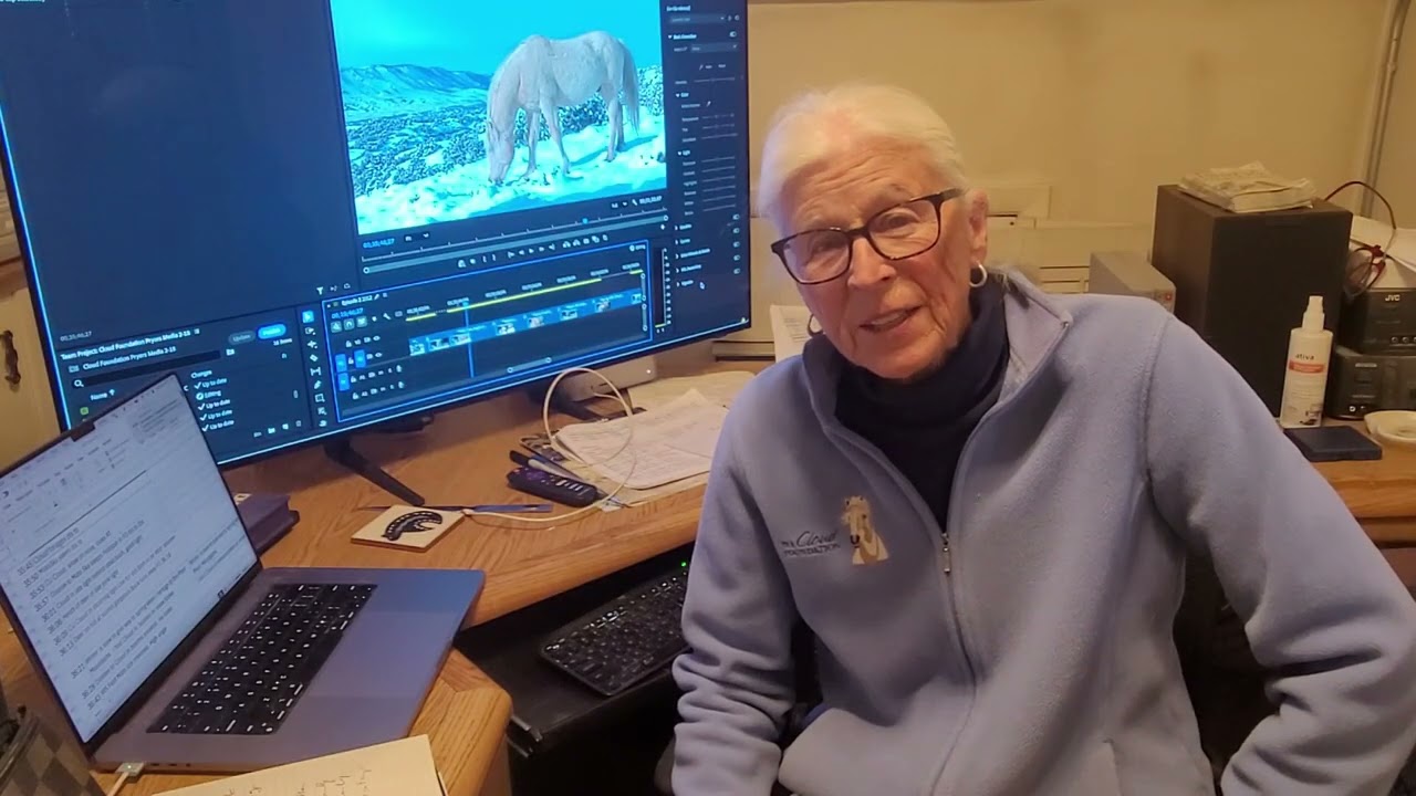 Три лошади Прайор. Одна семья. Одно изменение, чтобы они остались вместе.