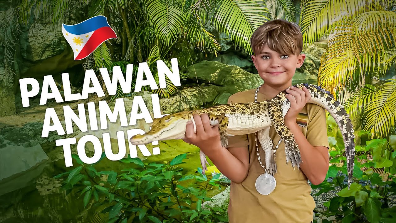 Philippine crocodiles + rare species of Palawan 🇵🇭