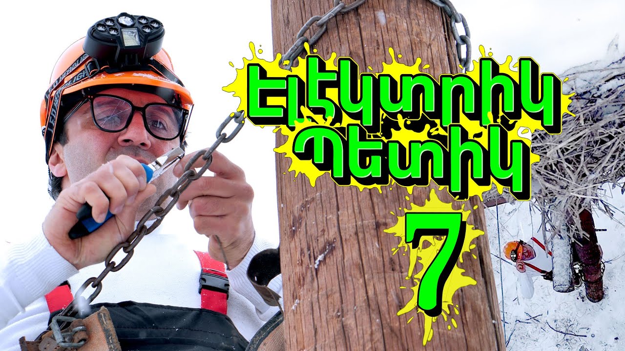 Electrik Petik 7 / Էլեկտրիկ Պետիկ 7
