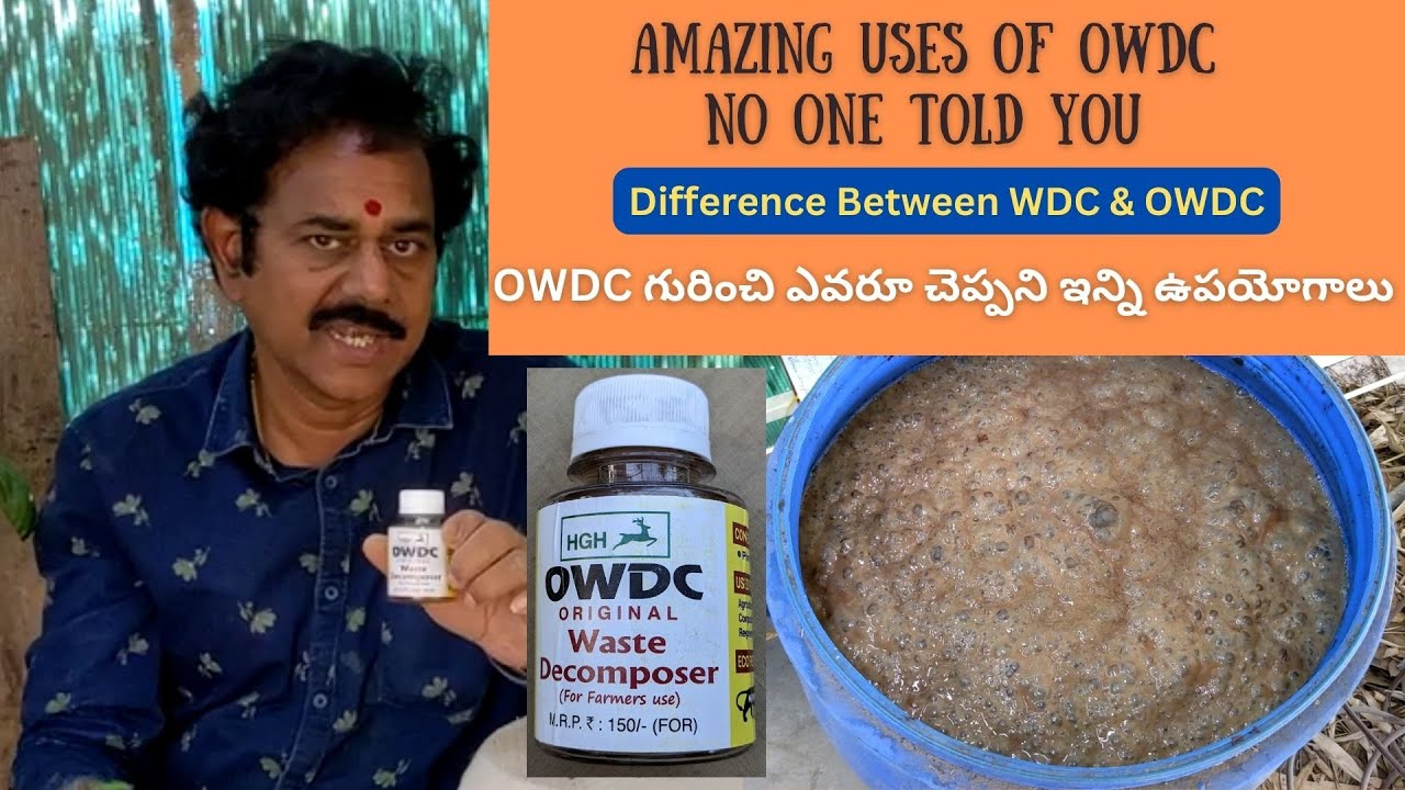 OWDC గురించి ఎవరూ చెప్పని ఇన్ని ఉపయోగాలు | Amazing uses of OWDC