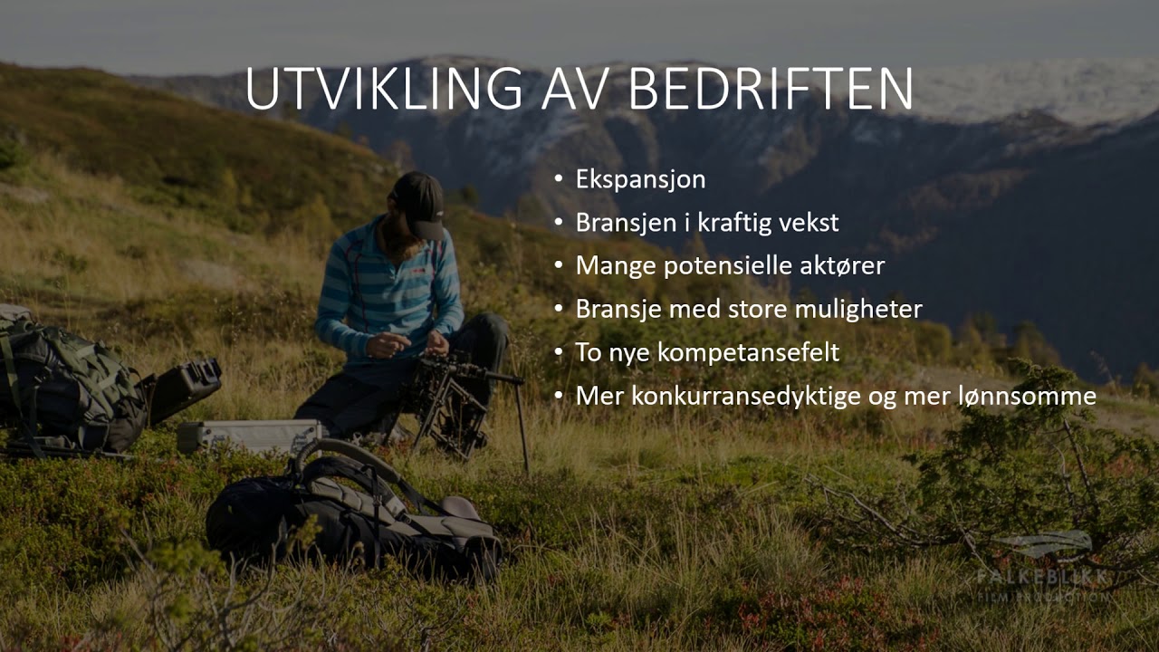 FALKEBLIKK BI STRATEGIOPPGAVE