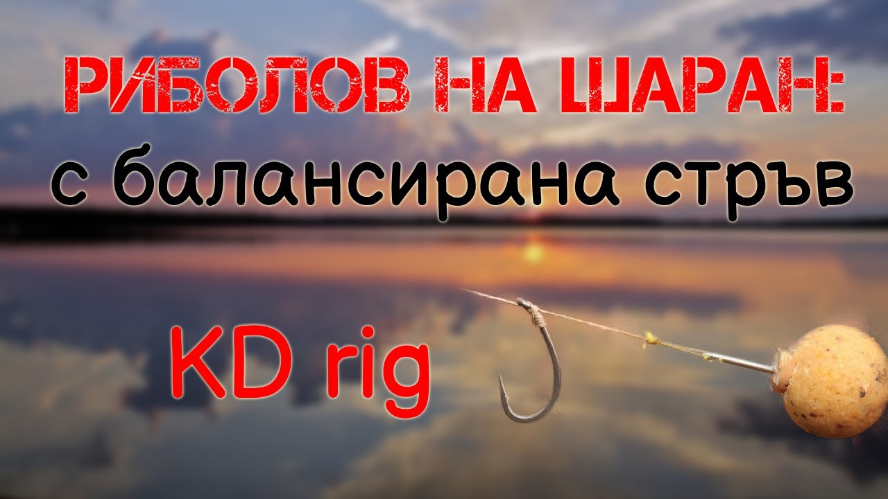 Риболов на шаран: Балансирана стръв (KD rig)