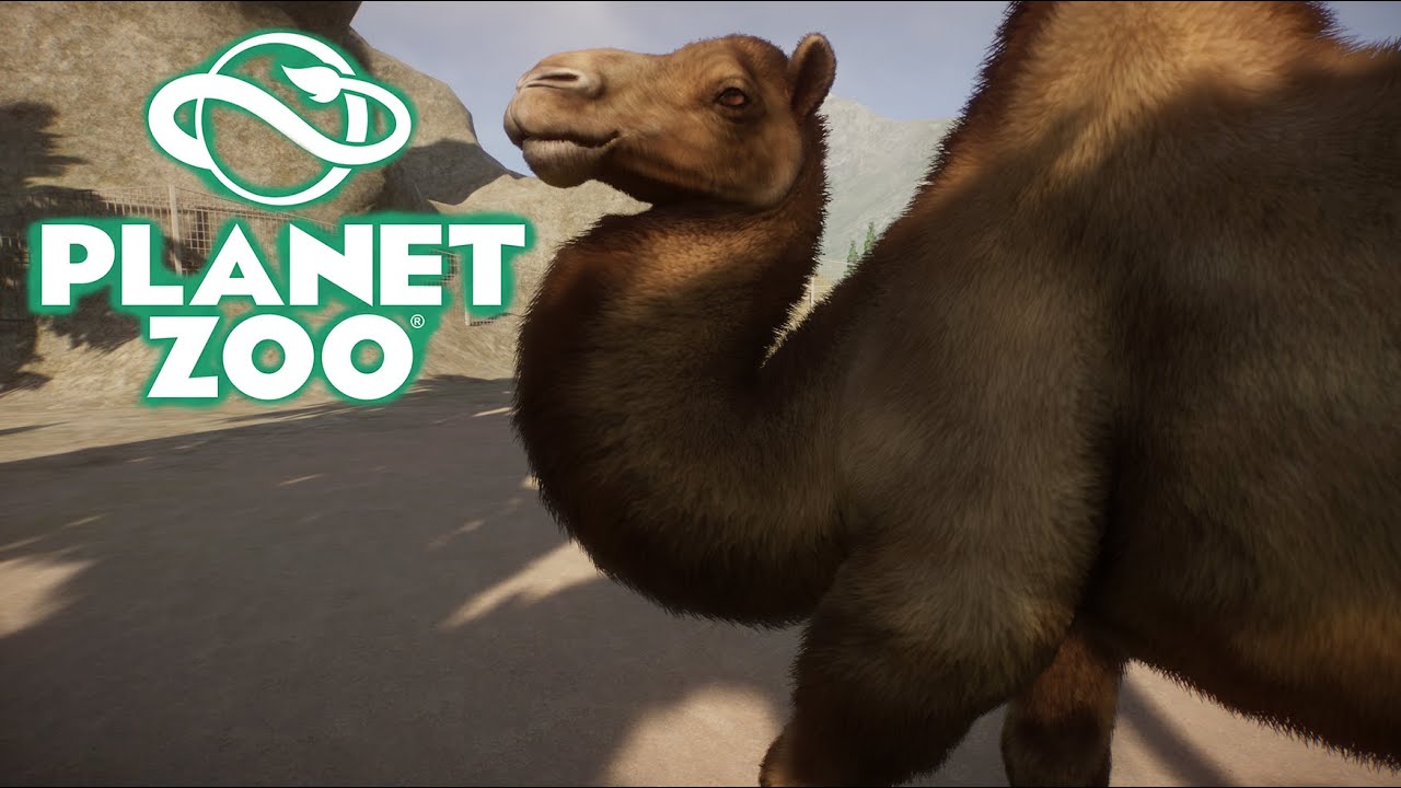ДВУГОРБЫЙ ВЕРБЛЮД #7 PLANET ZOO ПРОХОЖДЕНИЕ
