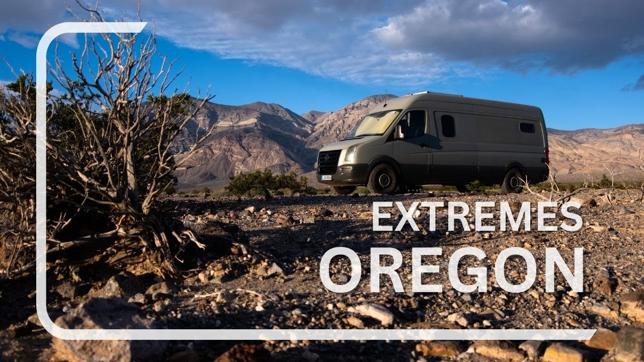 Und wir zeigen euch wieso!