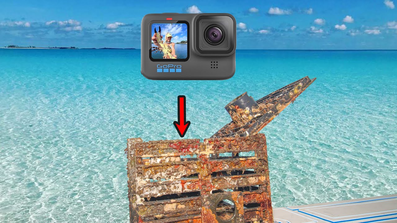 Dropped a GoPro in a Stone Crab Trap & Saw This!