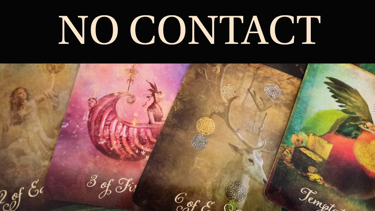 PICK A CARD: NO CONTACT. DO THEY HAVE REGRETS? ACTIONS_ OUTCOME.  TAROT TIMELESS READING.