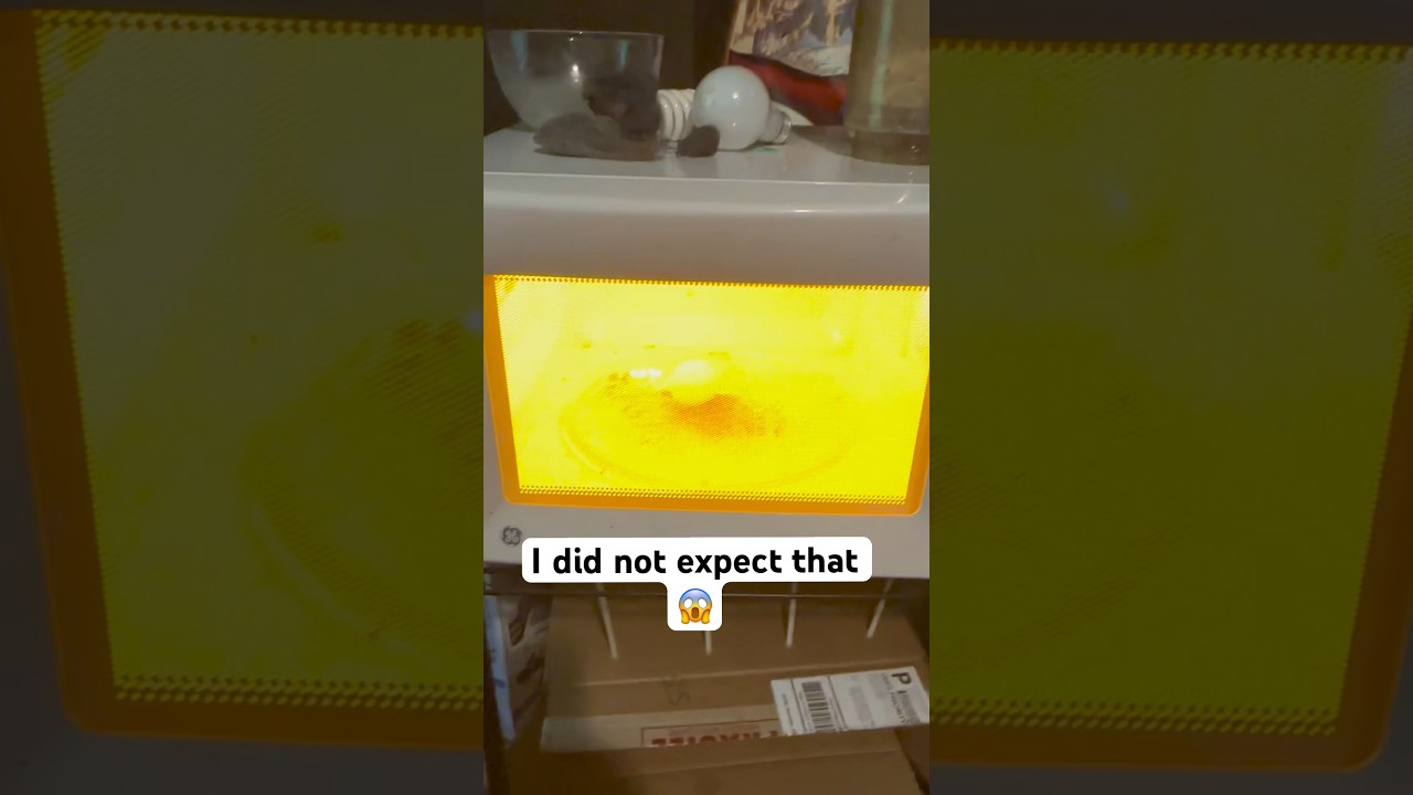 What happens it you microwave an egg