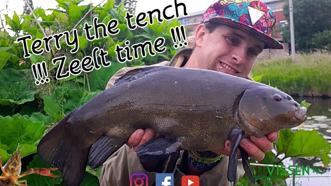 Terry the tench time !!!Zeelt power!!!