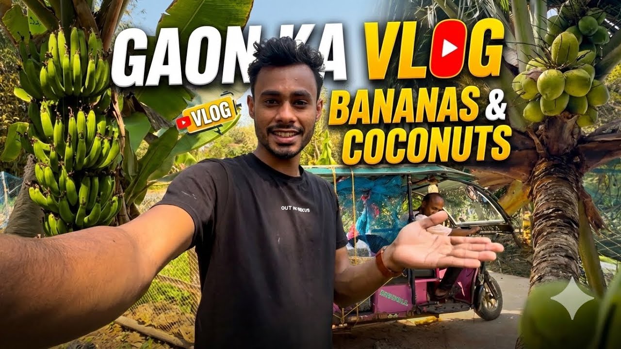 Gaon Ka vlog bananas &coconuta//mr saheb //amdai basti gaon // #vlog 
