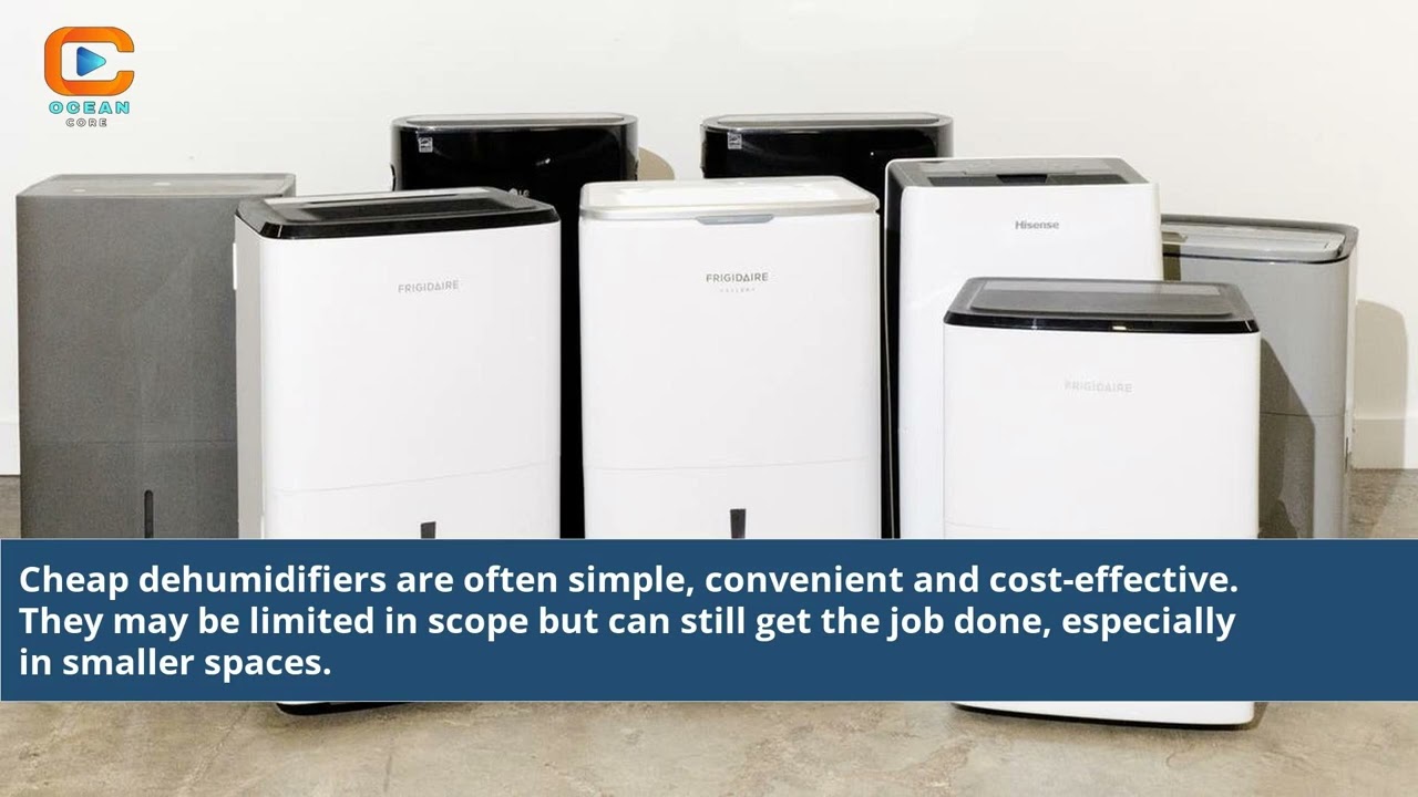 Are Cheap Dehumidifiers Any Good