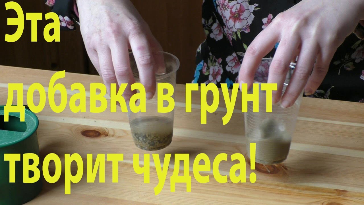 Грунт для рассады: лучшая добавка