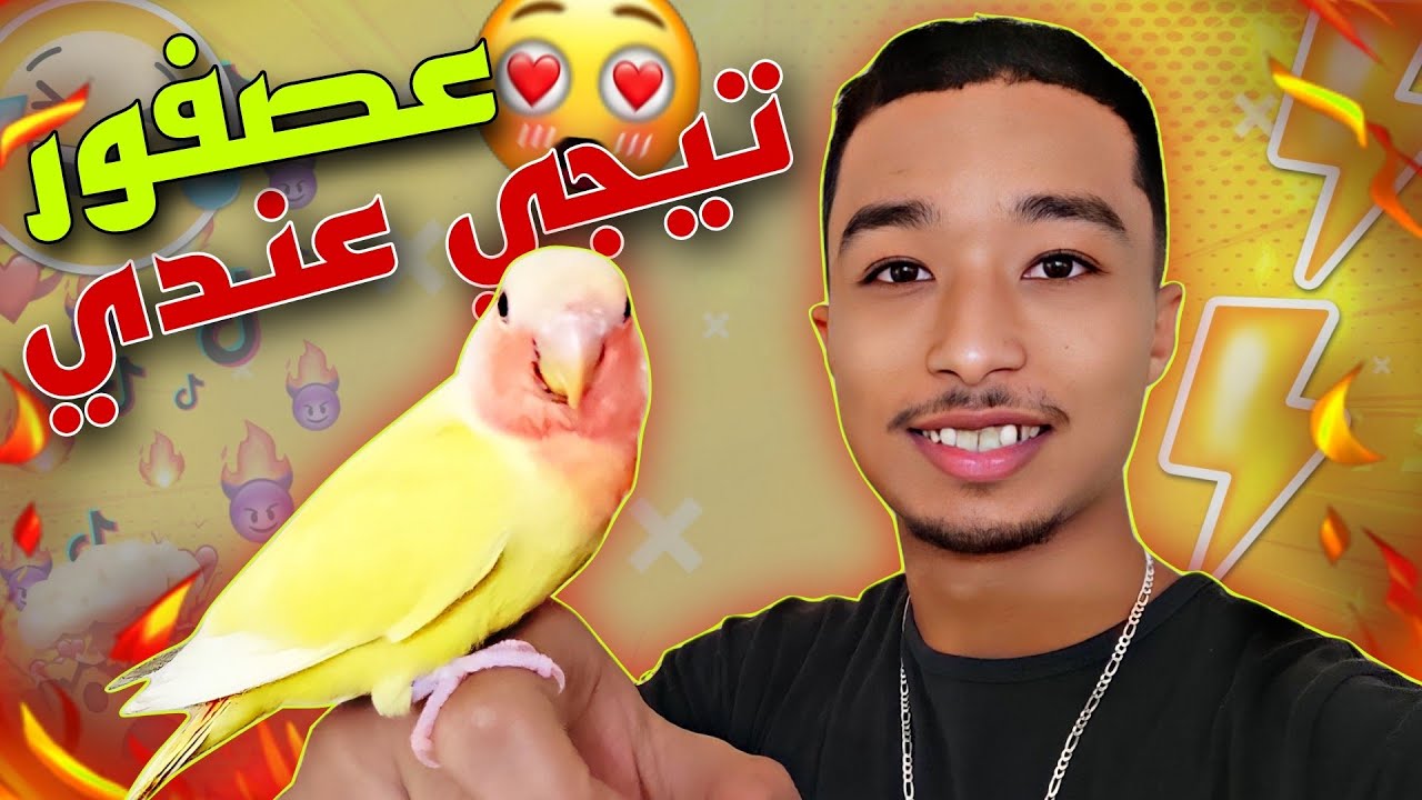 عصفور و لا تيطير و كيجي عندي 🔥❤️