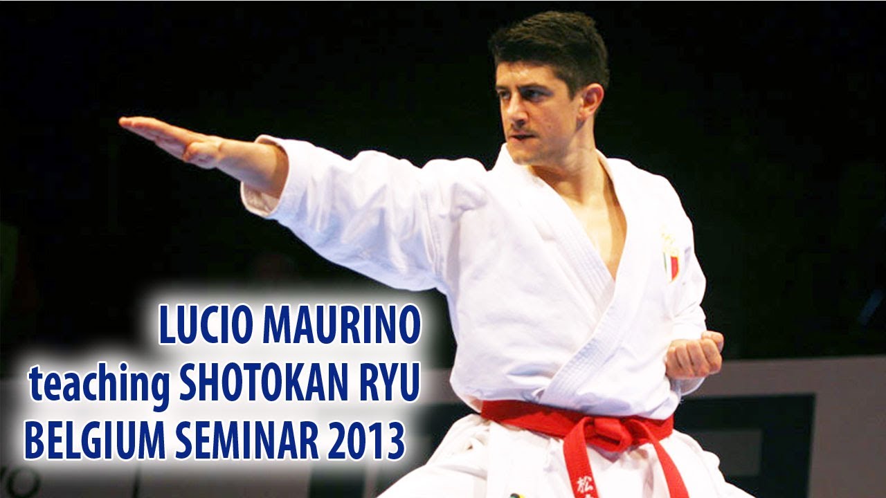 Lucio Maurino teaching SHOTOKAN RYU - Belgium Seminar 2013